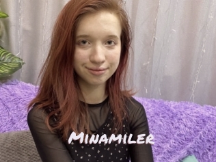Minamiler