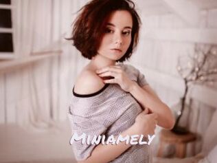 Miniamely