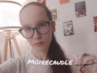Moirecaudle