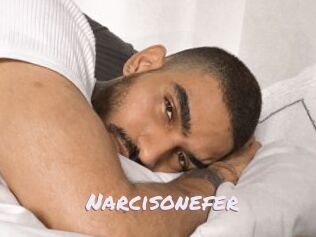 Narcisonefer