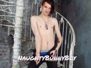 NaughtyBunnyBoy
