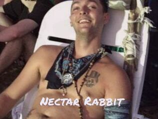 Nectar_Rabbit