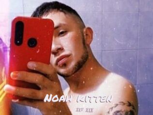 Noah_kitten