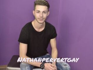 Nathanpervertgay