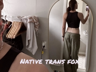 Native_trans_fox