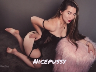 nicepussy Deutsche Sexcams
