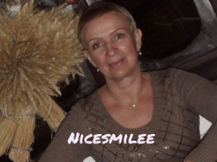 Nicesmilee