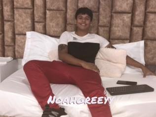 Noahgreeyy