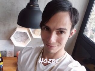 Nozel