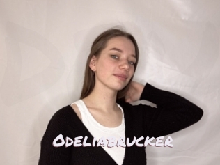 Odeliabrucker
