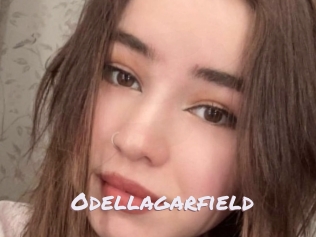Odellagarfield