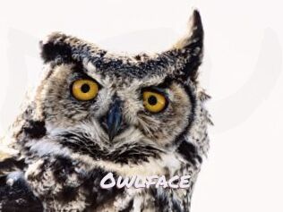 Owlface