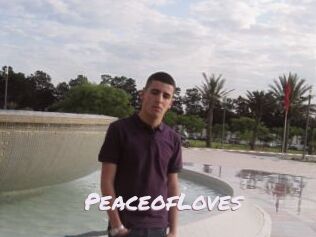 PeaceofLoves