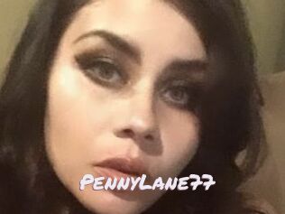 PennyLane77