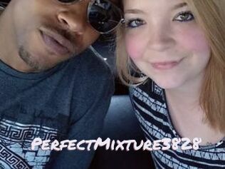 PerfectMixture3828
