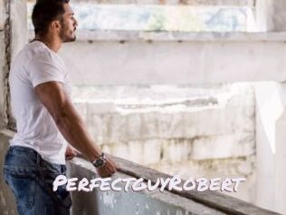 PerfectguyRobert