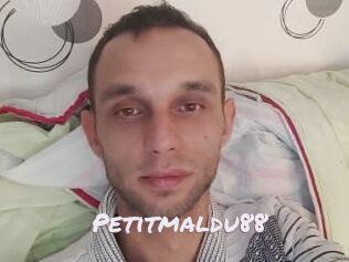 Petitmaldu88 Deutsche Sexcams