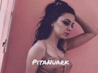 PitaNuark