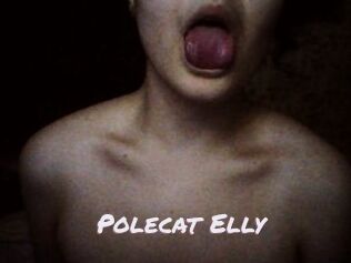 Polecat_Elly