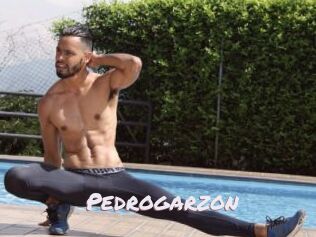 Pedrogarzon
