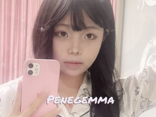 Penegemma