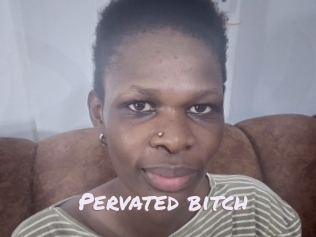 pervated_bitch Deutsche Sexcams
