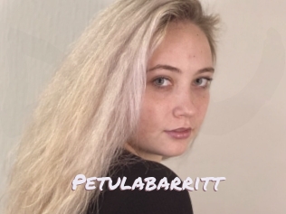 Petulabarritt