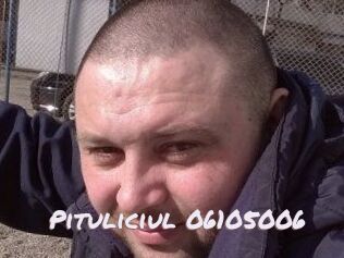 Pituliciul-06105006