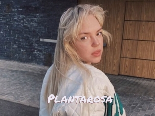 Plantarosa
