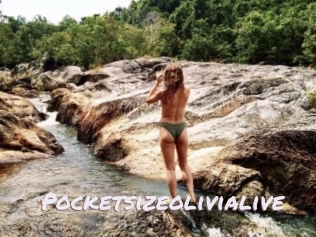 Pocketsizeolivialive
