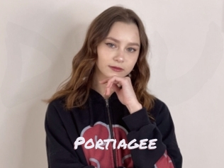 Portiagee