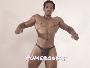Pumebonyfit