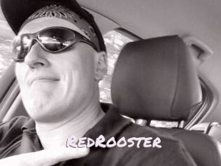 RedRooster