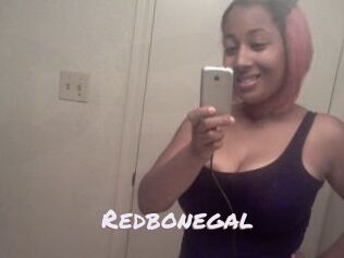 Redbonegal