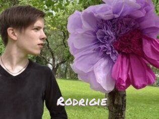 Rodrigie