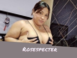 rosespecter Deutsche Sexcams