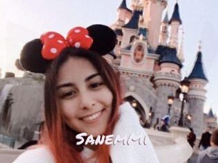 SanemMi