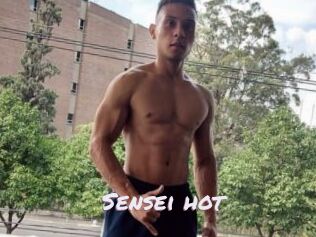 Sensei_hot