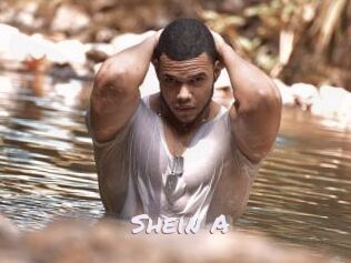 Shein_A