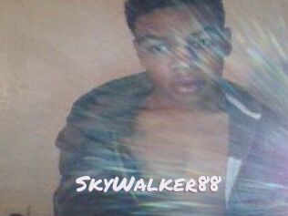 SkyWalker88