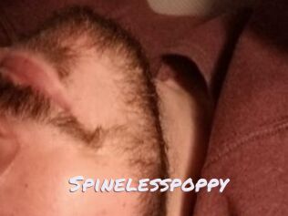 Spinelesspoppy