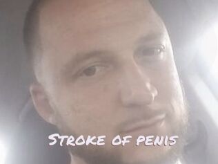 Stroke_of_penis