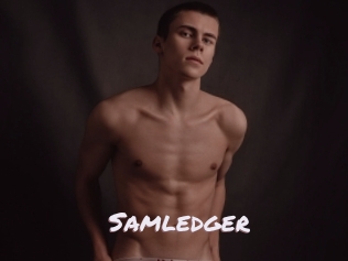Samledger