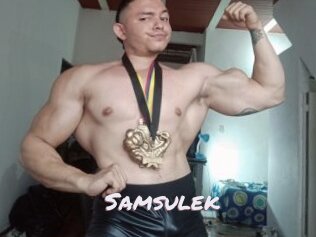 Samsulek