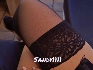 Sandy1111