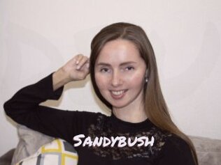 Sandybush