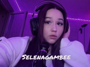 Selenagambee