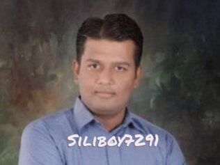 Siliboy7291