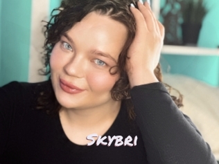 Skybri