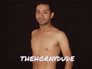 THEHORNYDUDE